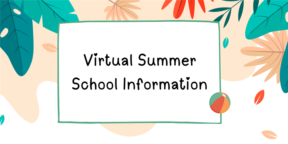 Virtual Summer School 2025